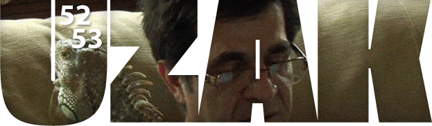 imm7.png